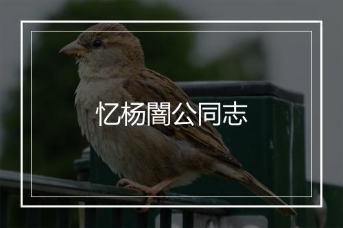 忆杨闇公同志