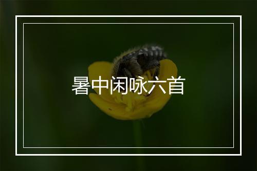 暑中闲咏六首