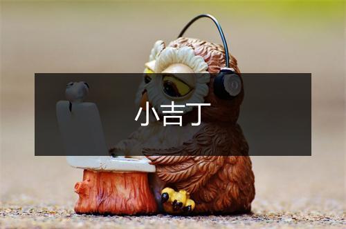 小吉丁