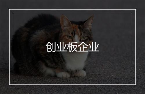 创业板企业