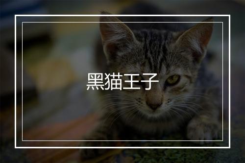 黑猫王子