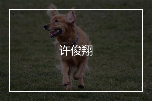 许俊翔