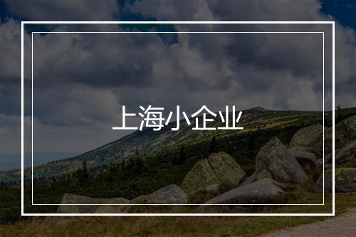 上海小企业