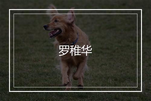 罗稚华