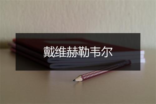 戴维赫勒韦尔