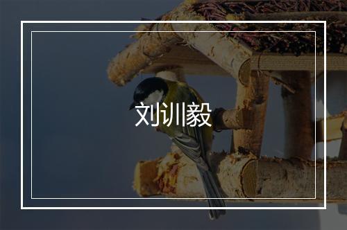 刘训毅