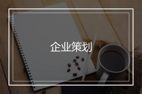 企业策划