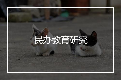 民办教育研究