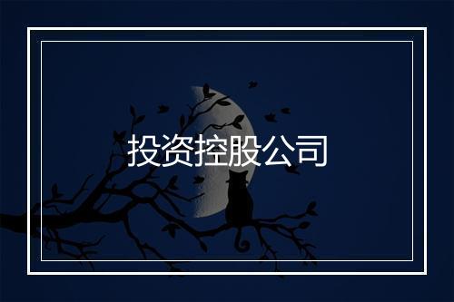 投资控股公司