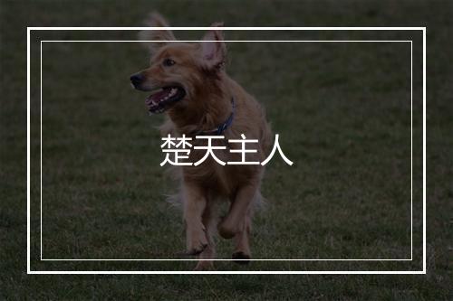 楚天主人