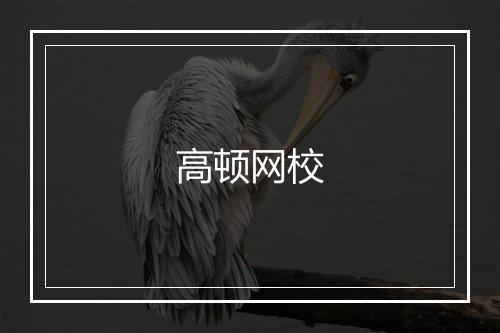 高顿网校