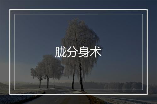 胧分身术