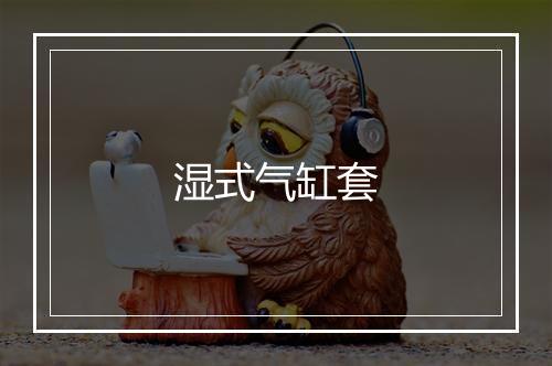 湿式气缸套