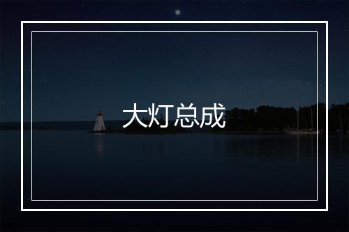 大灯总成