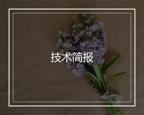 技术简报