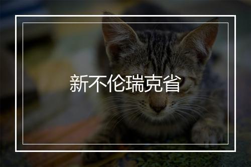 新不伦瑞克省