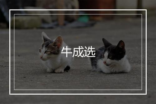 牛成选