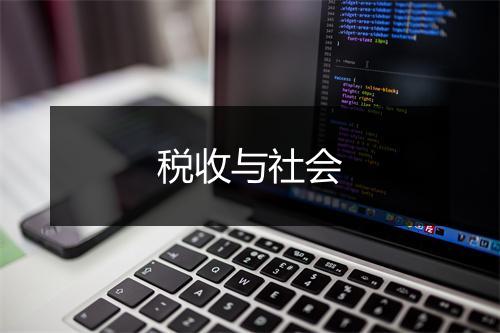 税收与社会