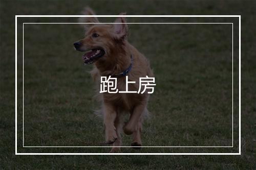 跑上房