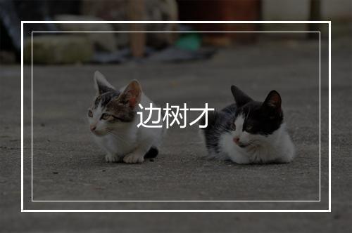 边树才