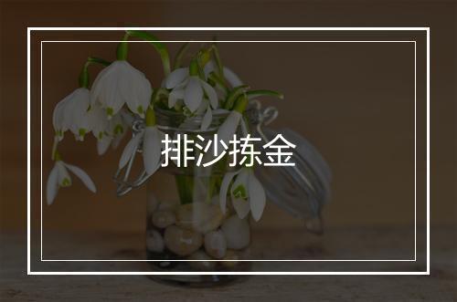 排沙拣金