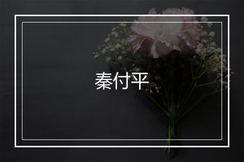 秦付平