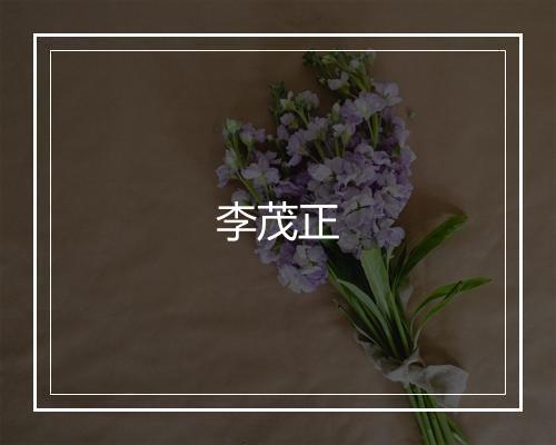 李茂正