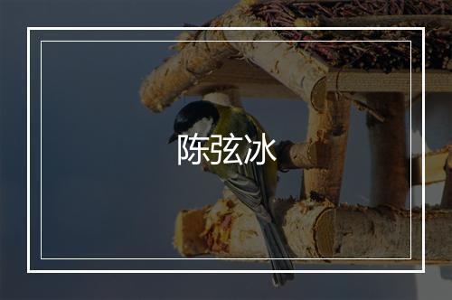 陈弦冰