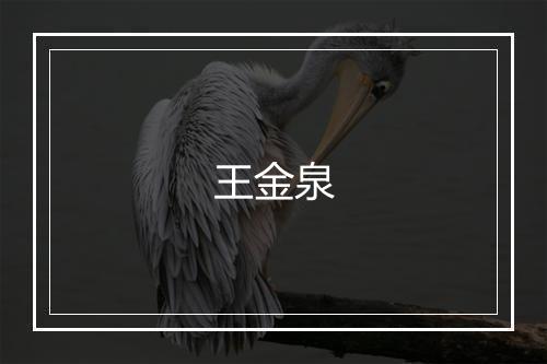 王金泉