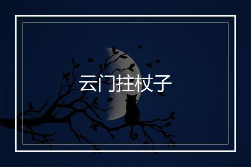 云门拄杖子