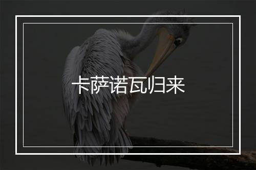 卡萨诺瓦归来