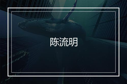 陈流明