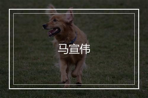 马宣伟