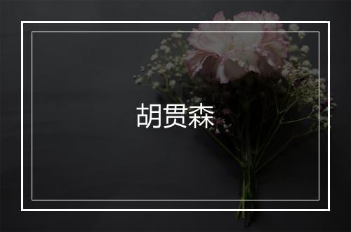 胡贯森