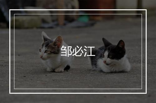 邹必江