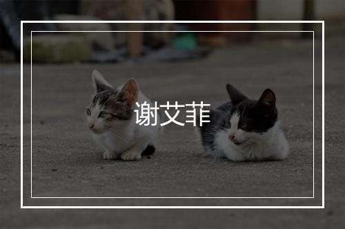 谢艾菲