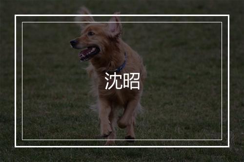 沈昭