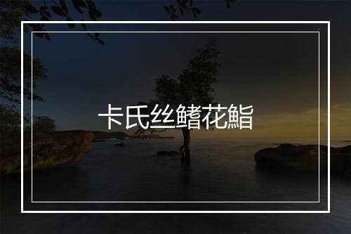 卡氏丝鳍花鮨