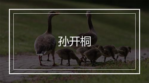 孙开桐