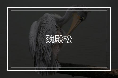 魏殿松