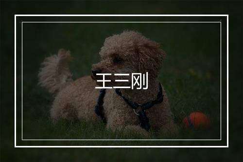 王三刚