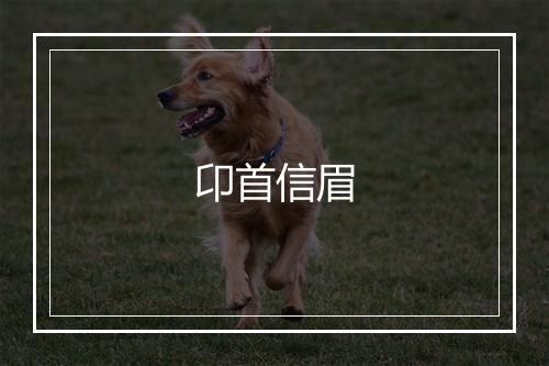 卬首信眉