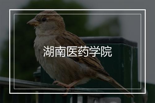 湖南医药学院