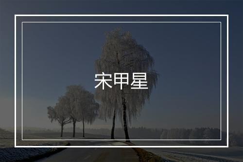 宋甲星