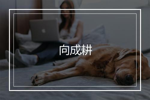 向成耕