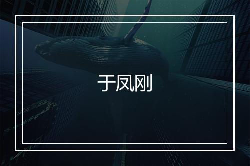 于凤刚