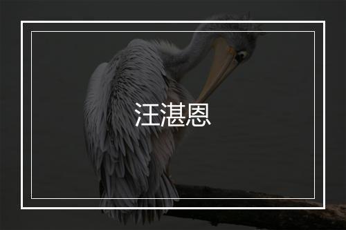 汪湛恩