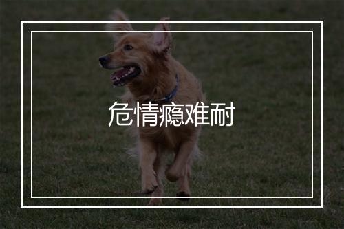 危情瘾难耐