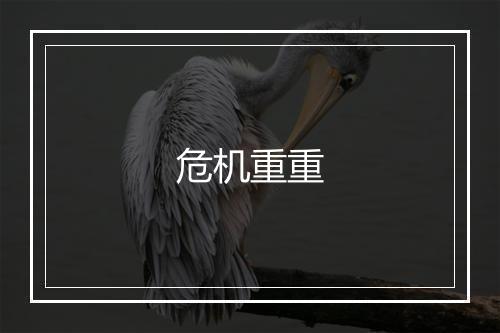 危机重重