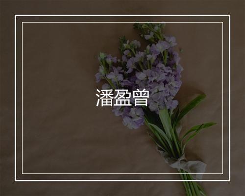 潘盈曾